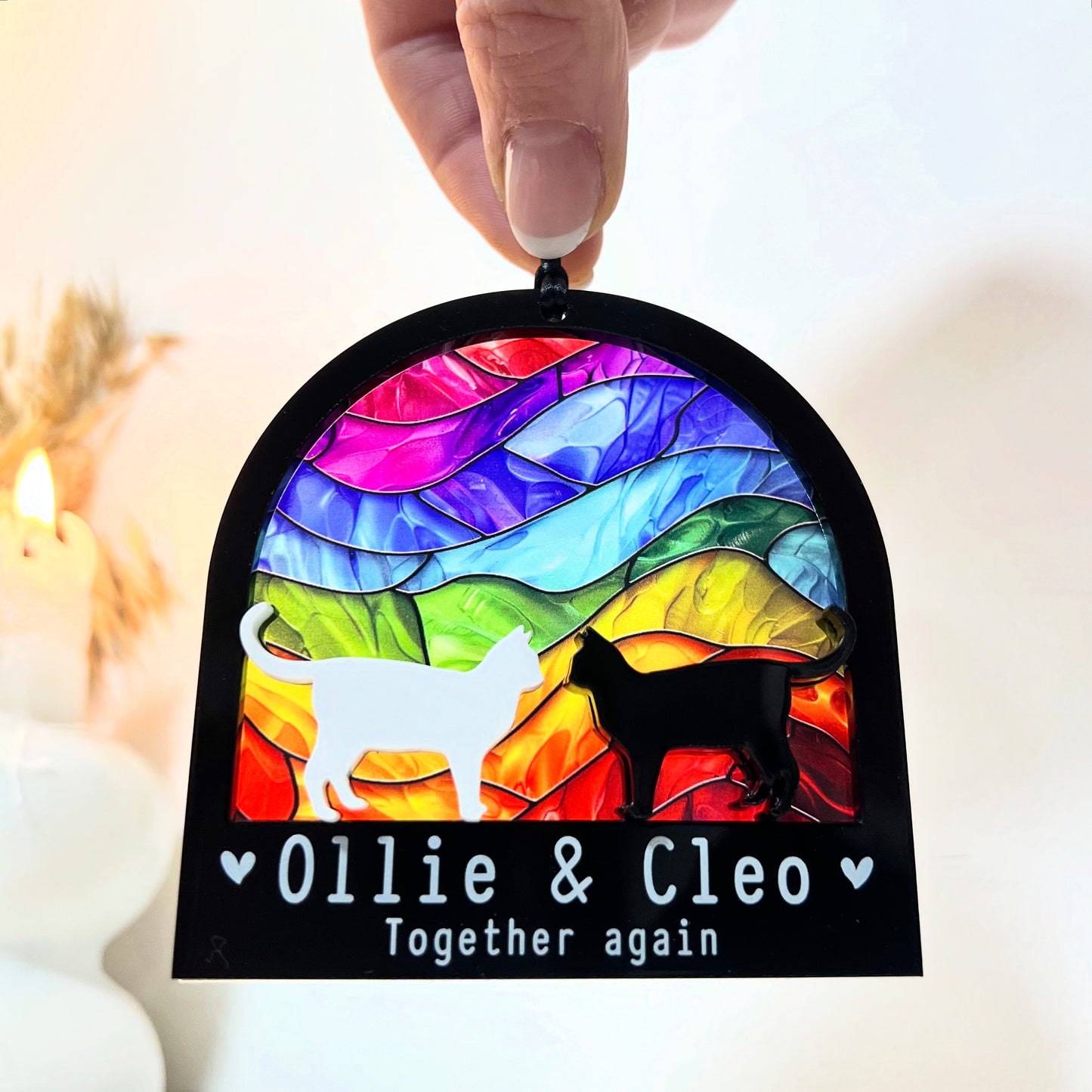 White & Black Two Cat Rainbow Ornament