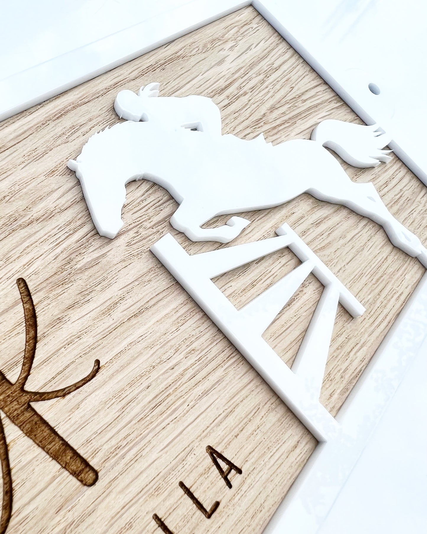 Horse Stable Name Sign Show Junping