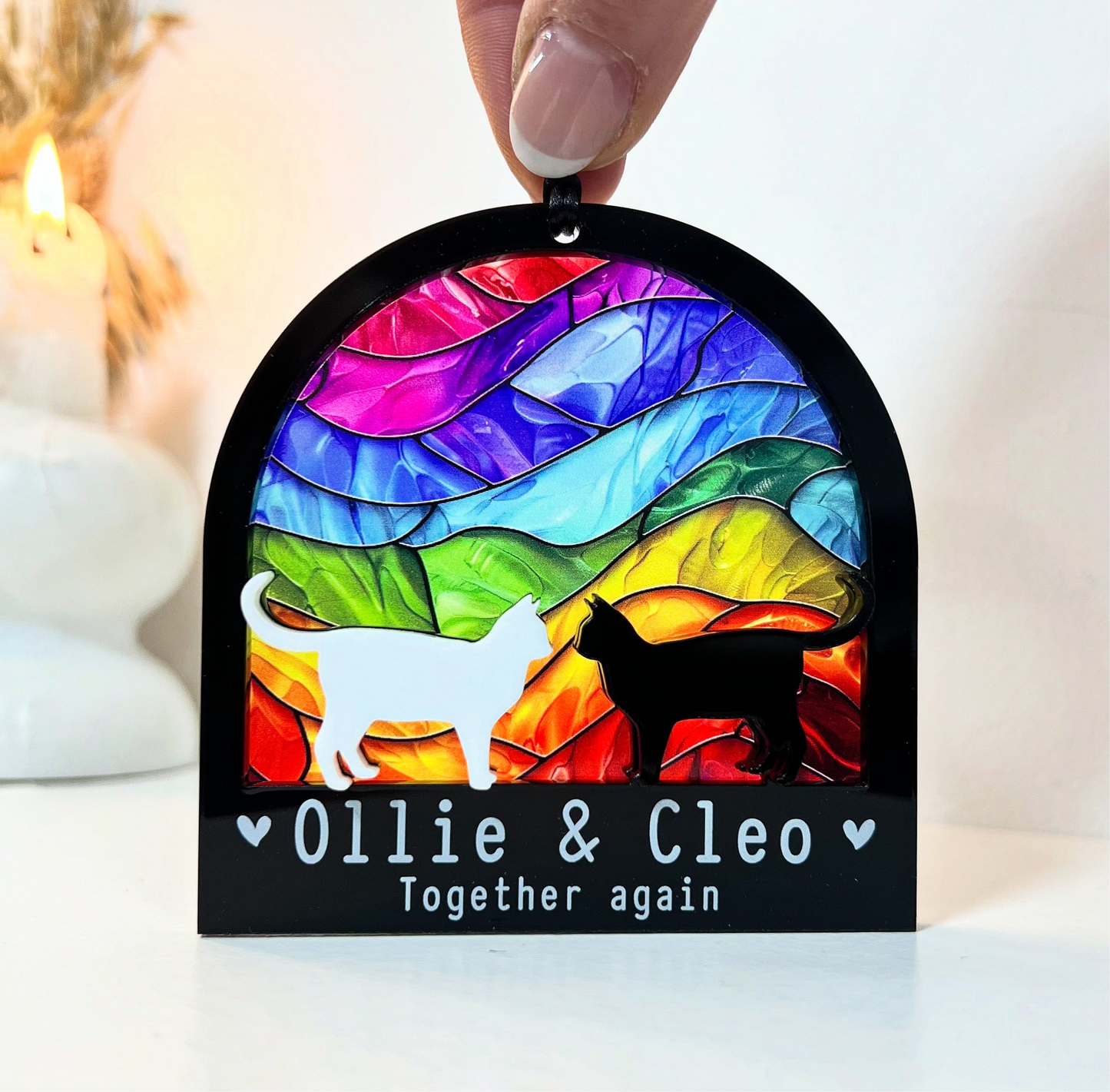 White & Black Two Cat Rainbow Ornament