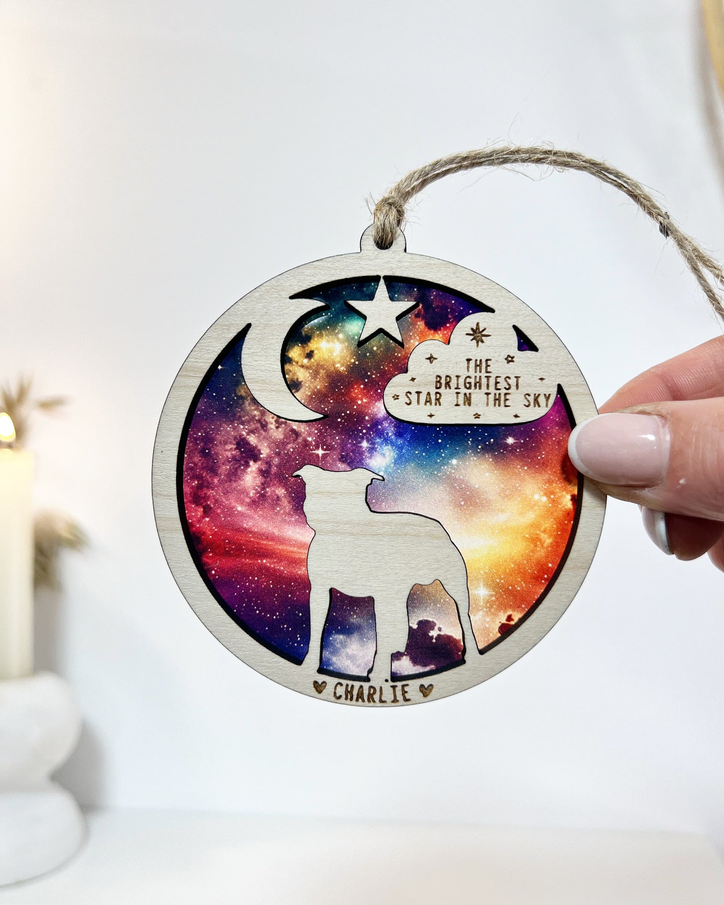 Dog The Brightest Star In The Sky