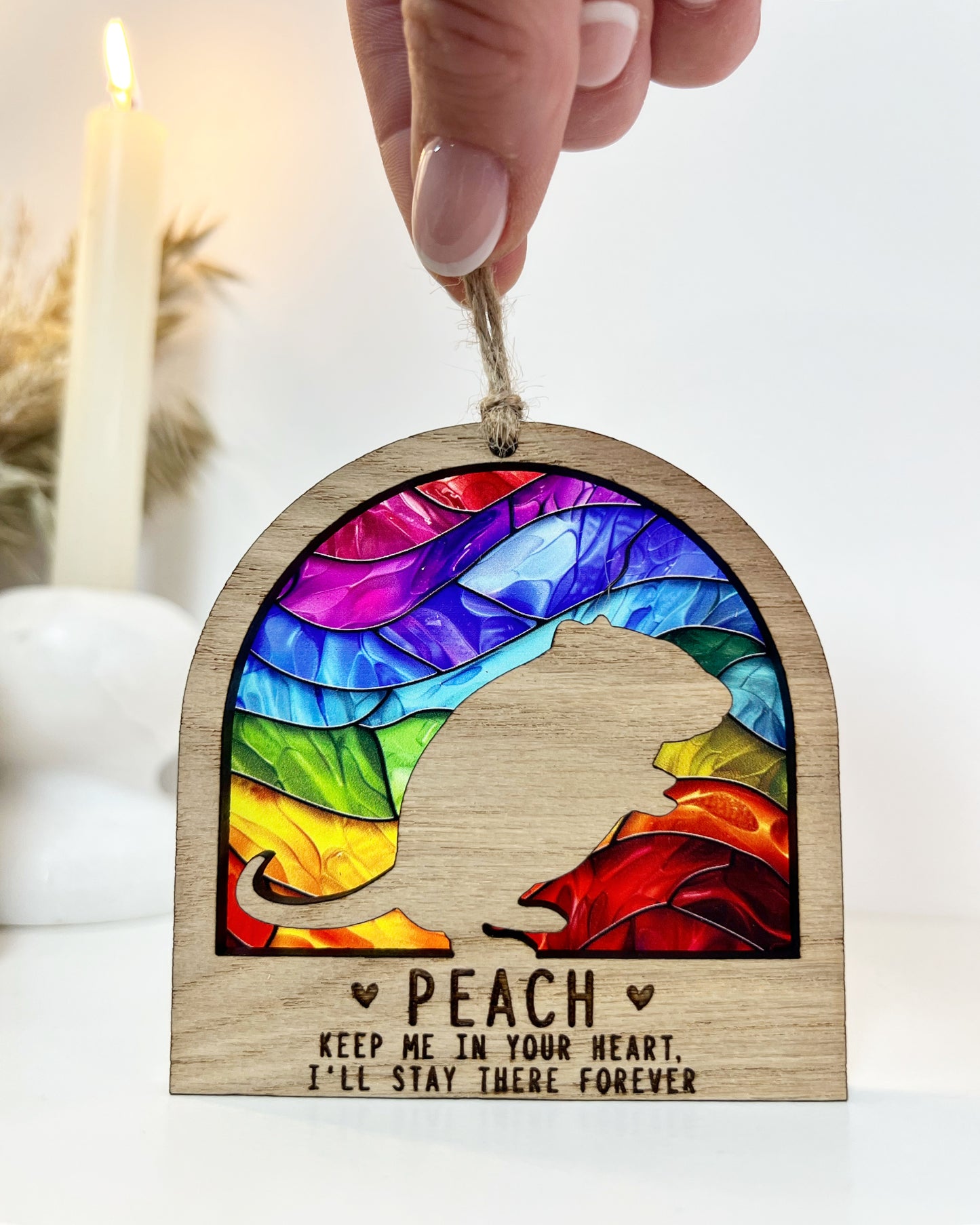 Gerbil Rainbow Bridge