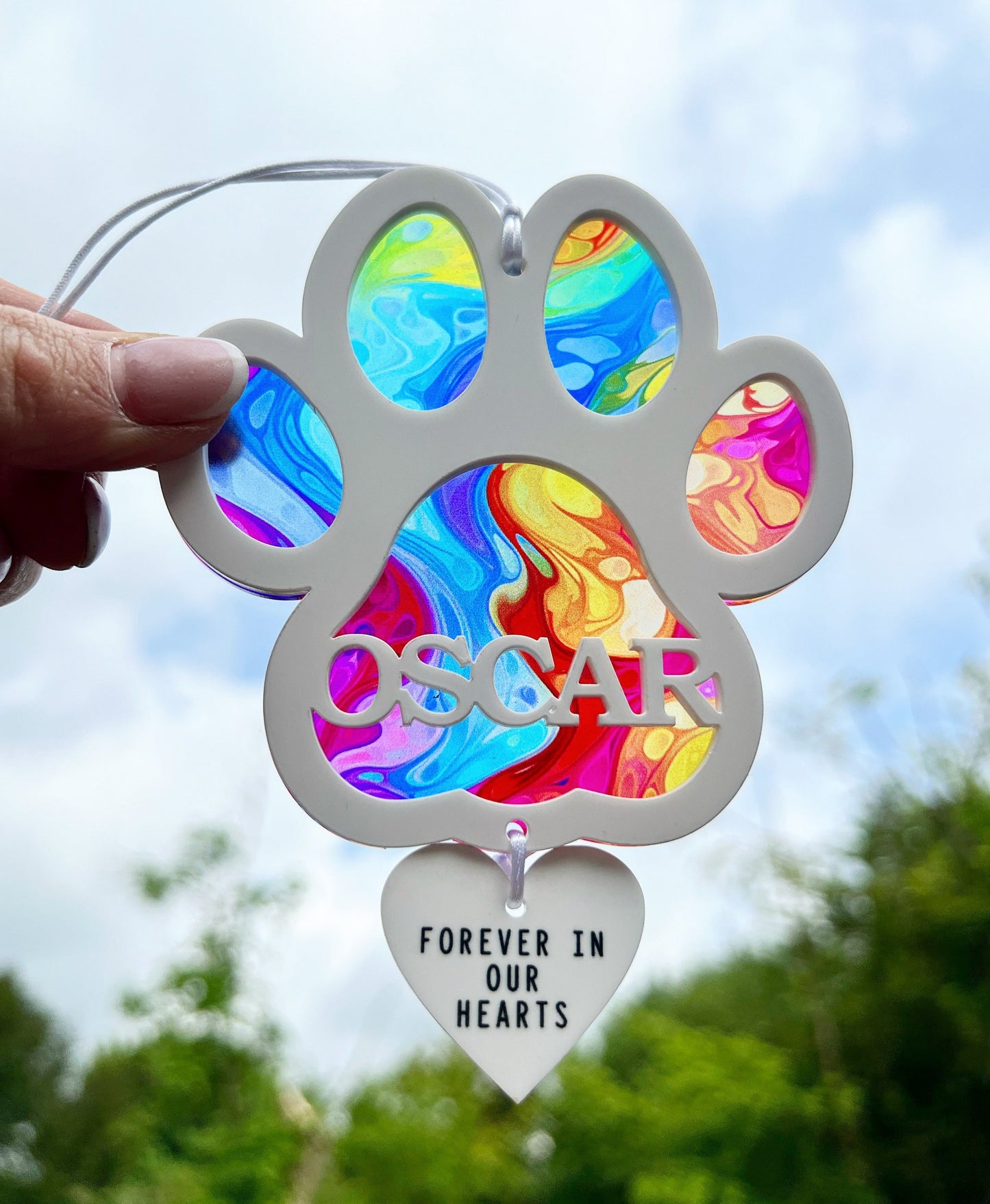 Outdoor Rainbow Marble Dog Paw