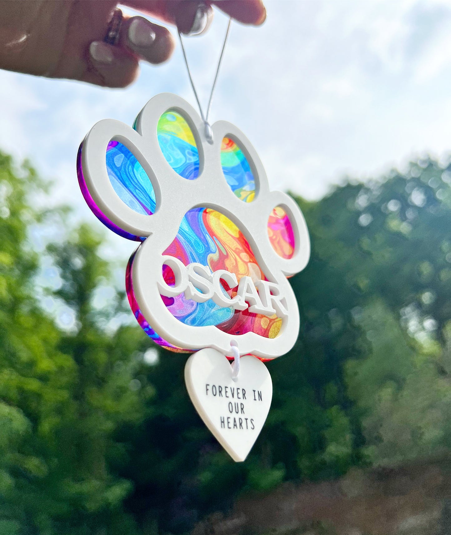 Outdoor Rainbow Marble Dog Paw