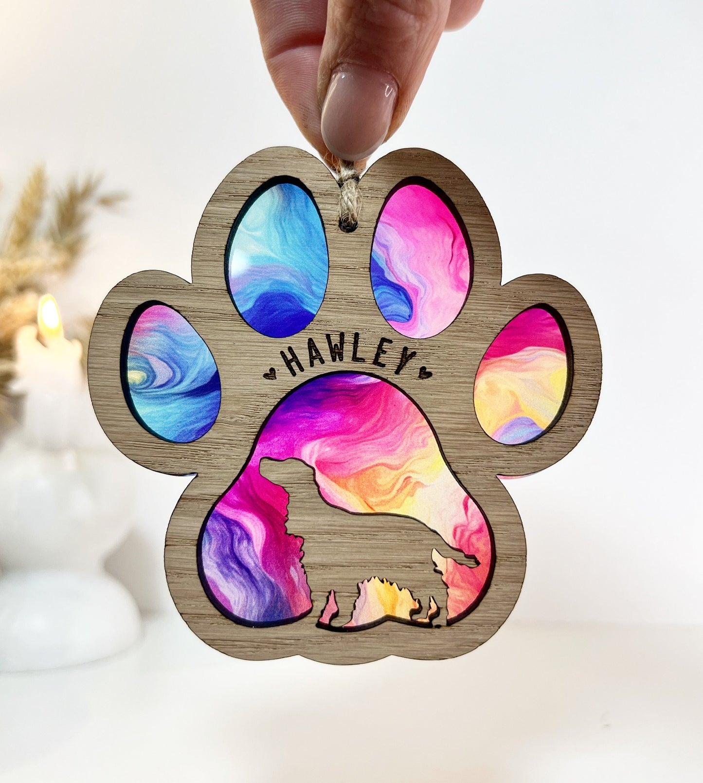 Marble Rainbow Paw Dog Breed