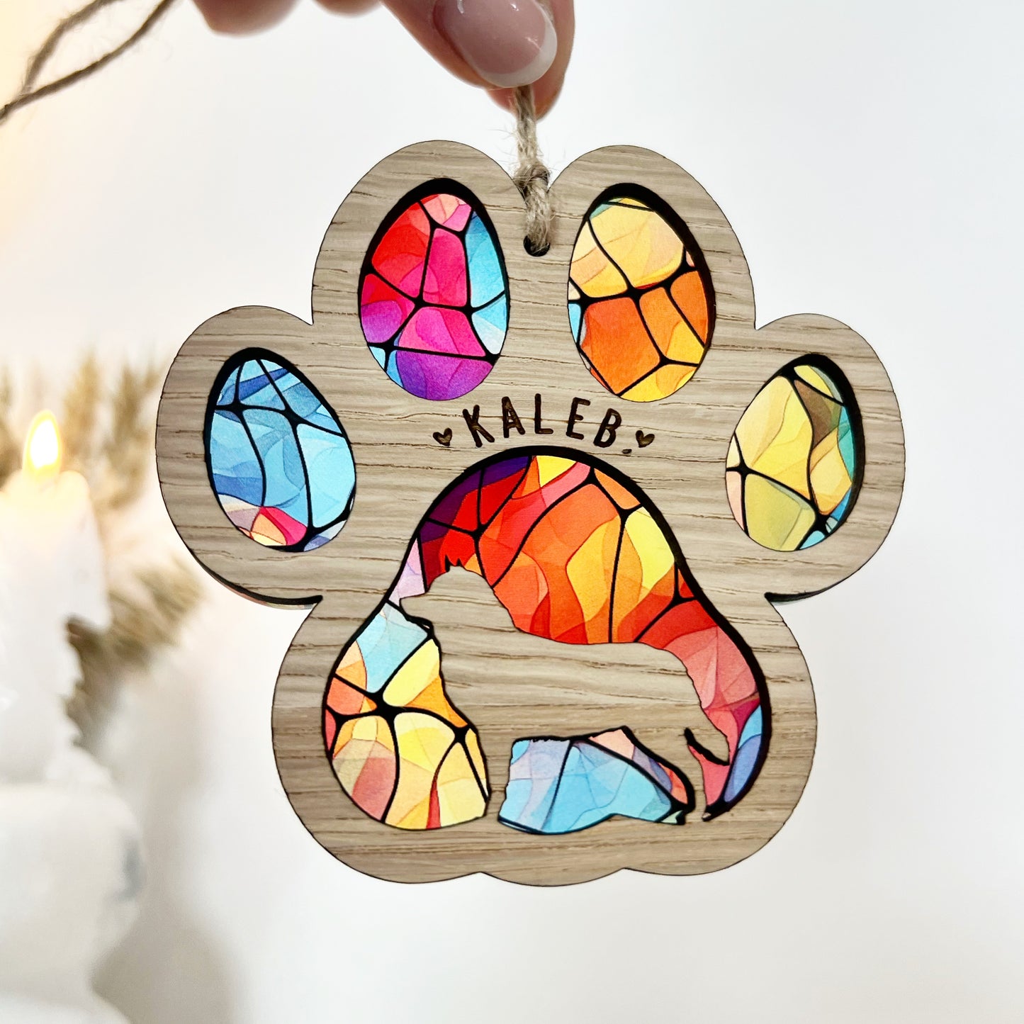 Dog Portrait Rainbow Ornament