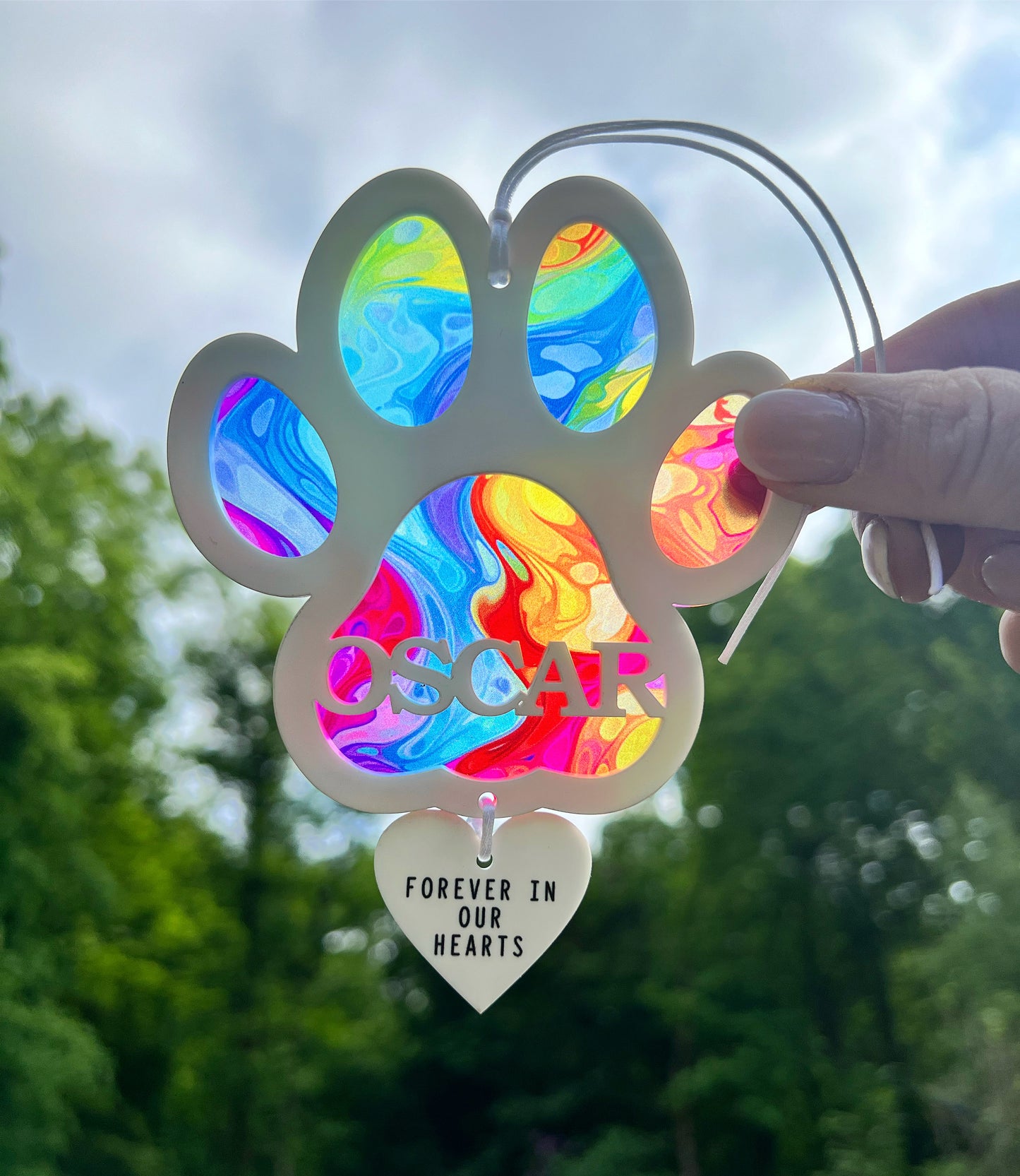 Outdoor Rainbow Marble Dog Paw