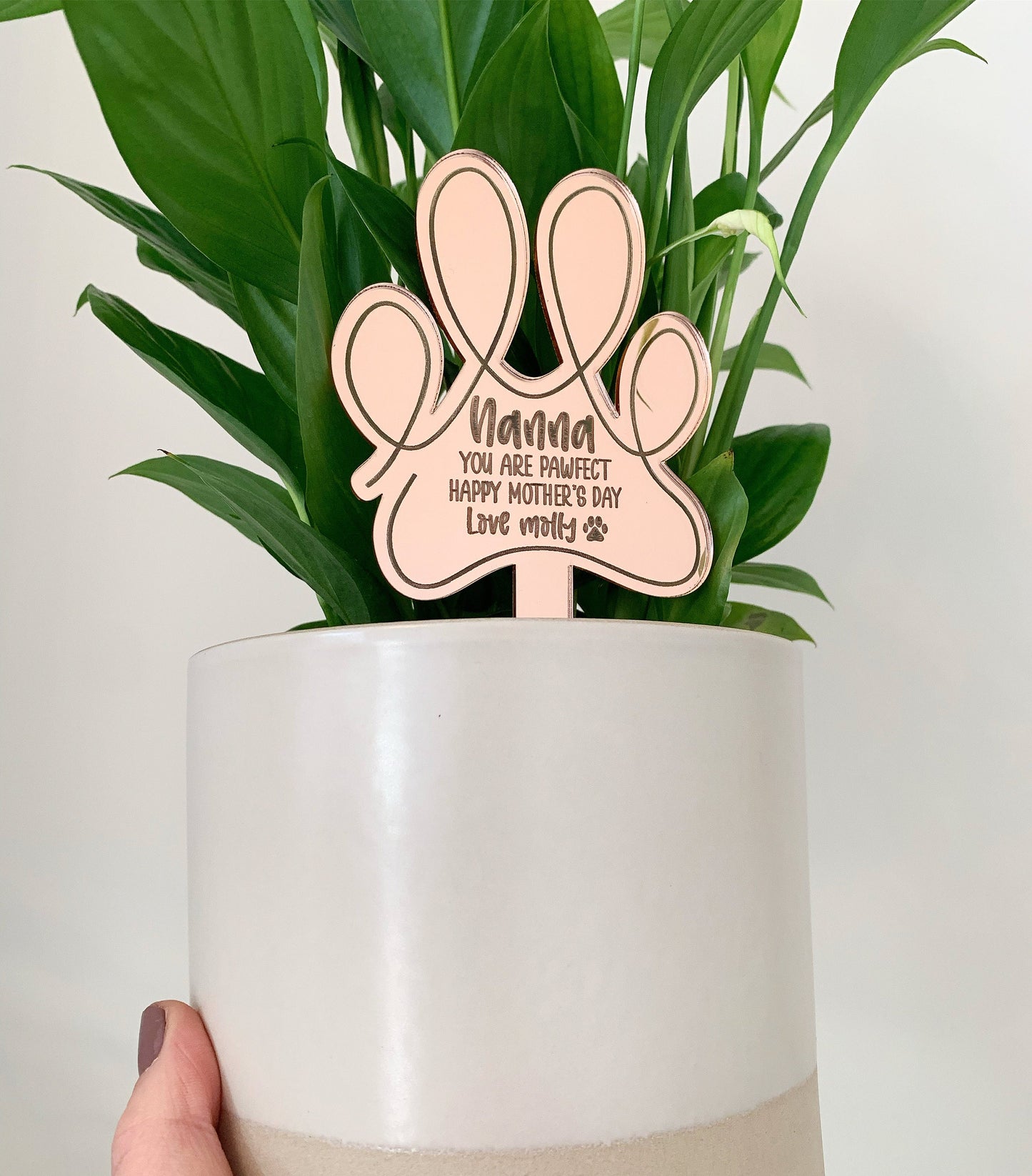 You are pawfect - Plant topper