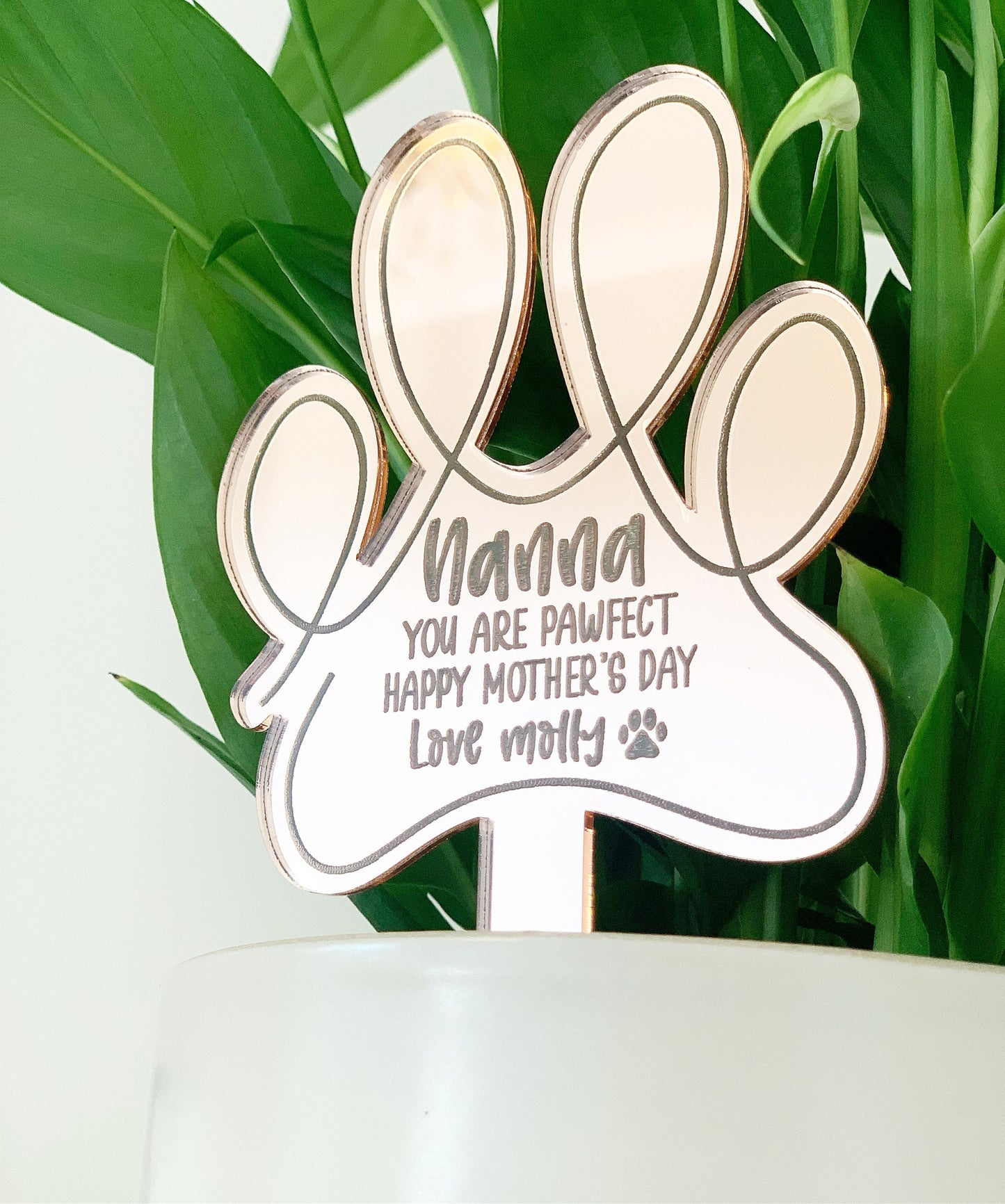 You are pawfect - Plant topper