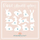 Rabbit - Brightest star in the sky